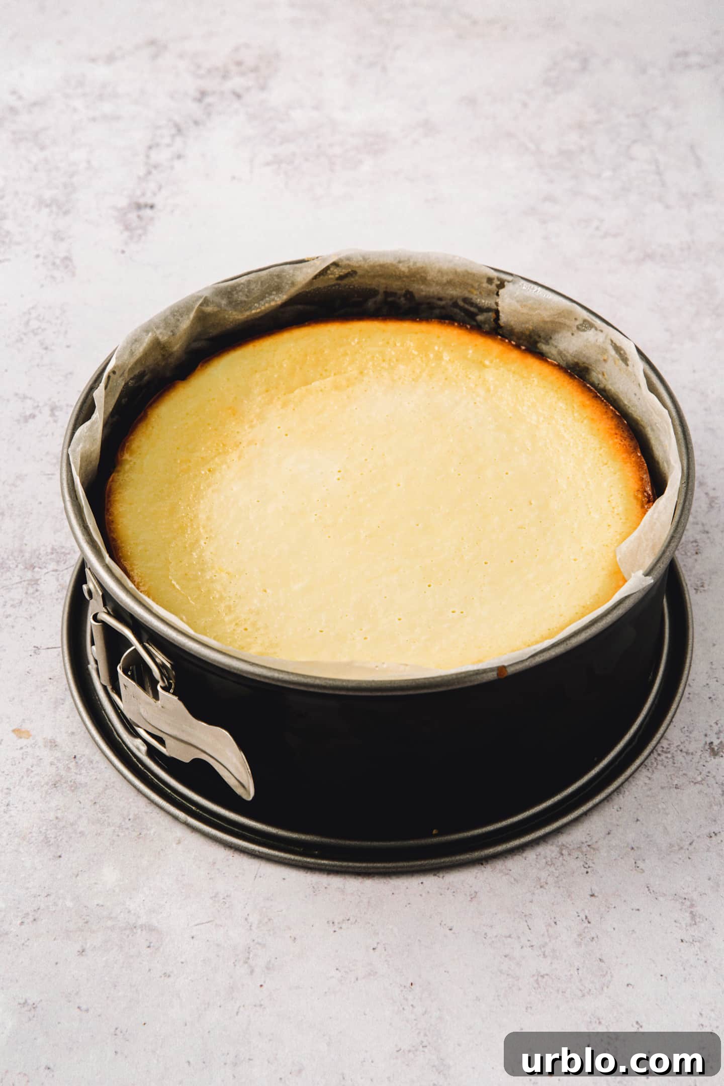 New York Cheesecake Recipe: Classic Creamy Slice Guide 7 Moule à charnière avec un cheesecake cuit