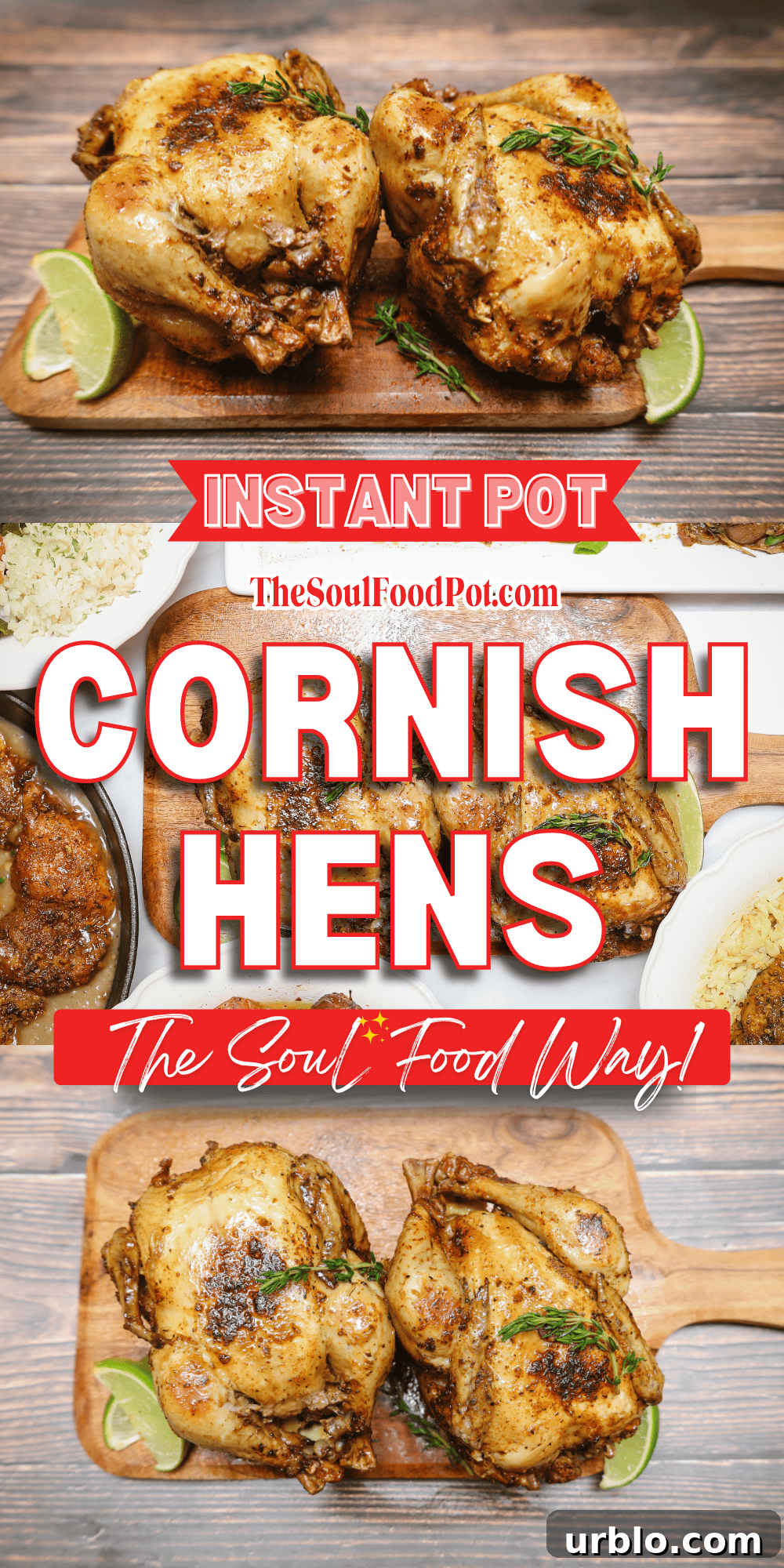 Soul Food Instant Pot Cornish Hens 7 How to make Cornish hens in the Instant Pot