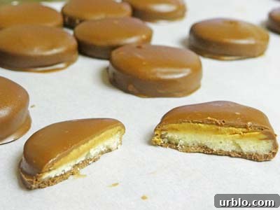 Girl Scout Cookies Gluten Free Tagalongs