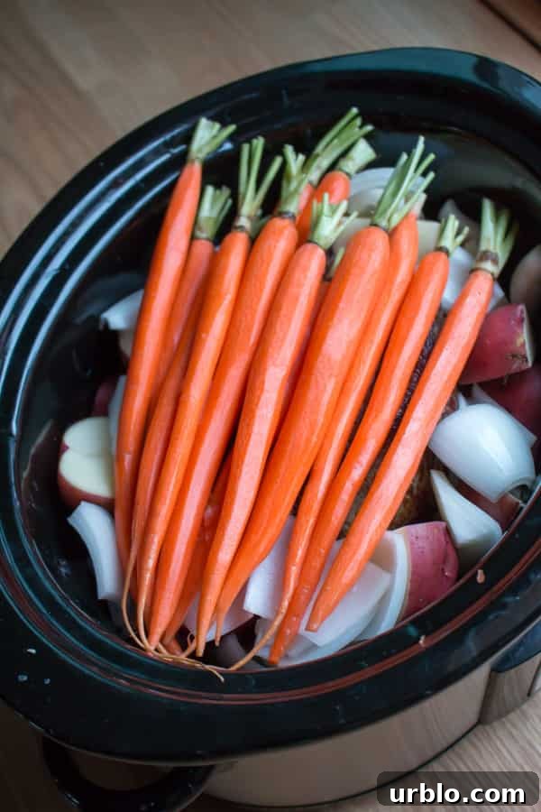 Carrots laying over beef roast in slow cooker