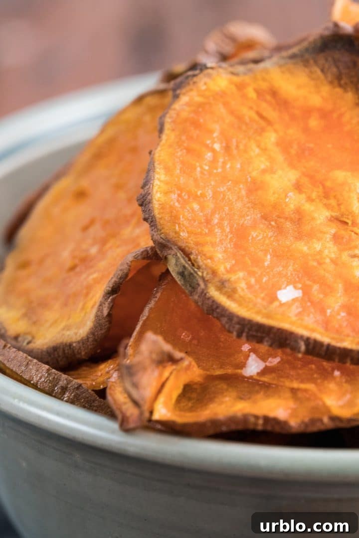 Crispy Baked Sweet Potato Chips Recipe for Snack Lovers 4 sweet-potato-chips