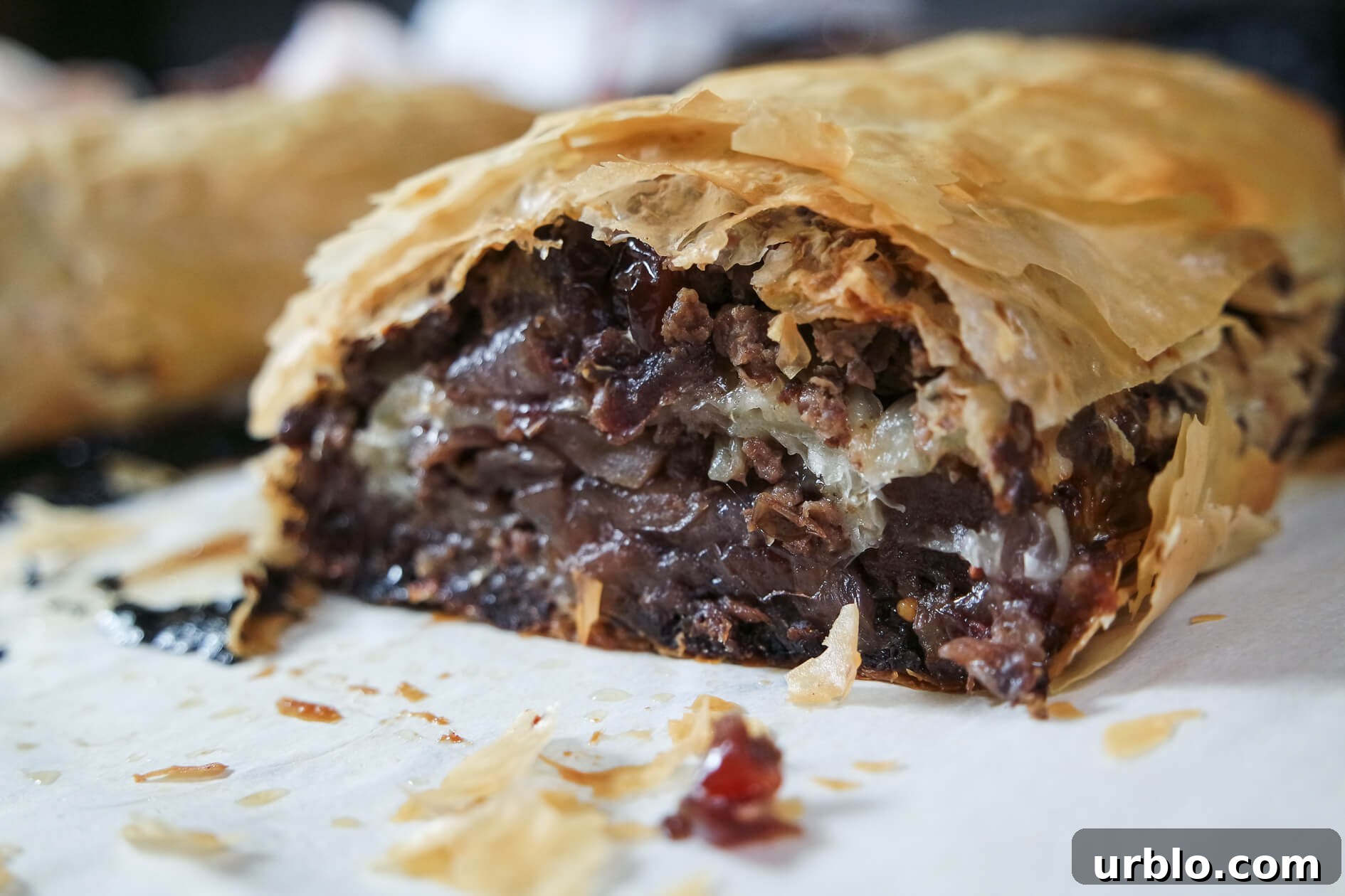 Savory Venison and Cranberry Strudel Recipe for Holiday Dinner 4 venison strudel