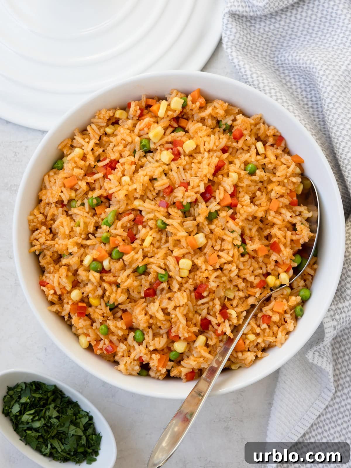 A round white bowl filled with colorful vegetables and rice with a serving spoon inside.