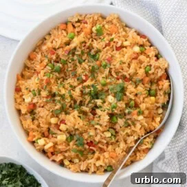 A bowl of colorful rice with mixed vegetables and a parsley garnish ready to serve.