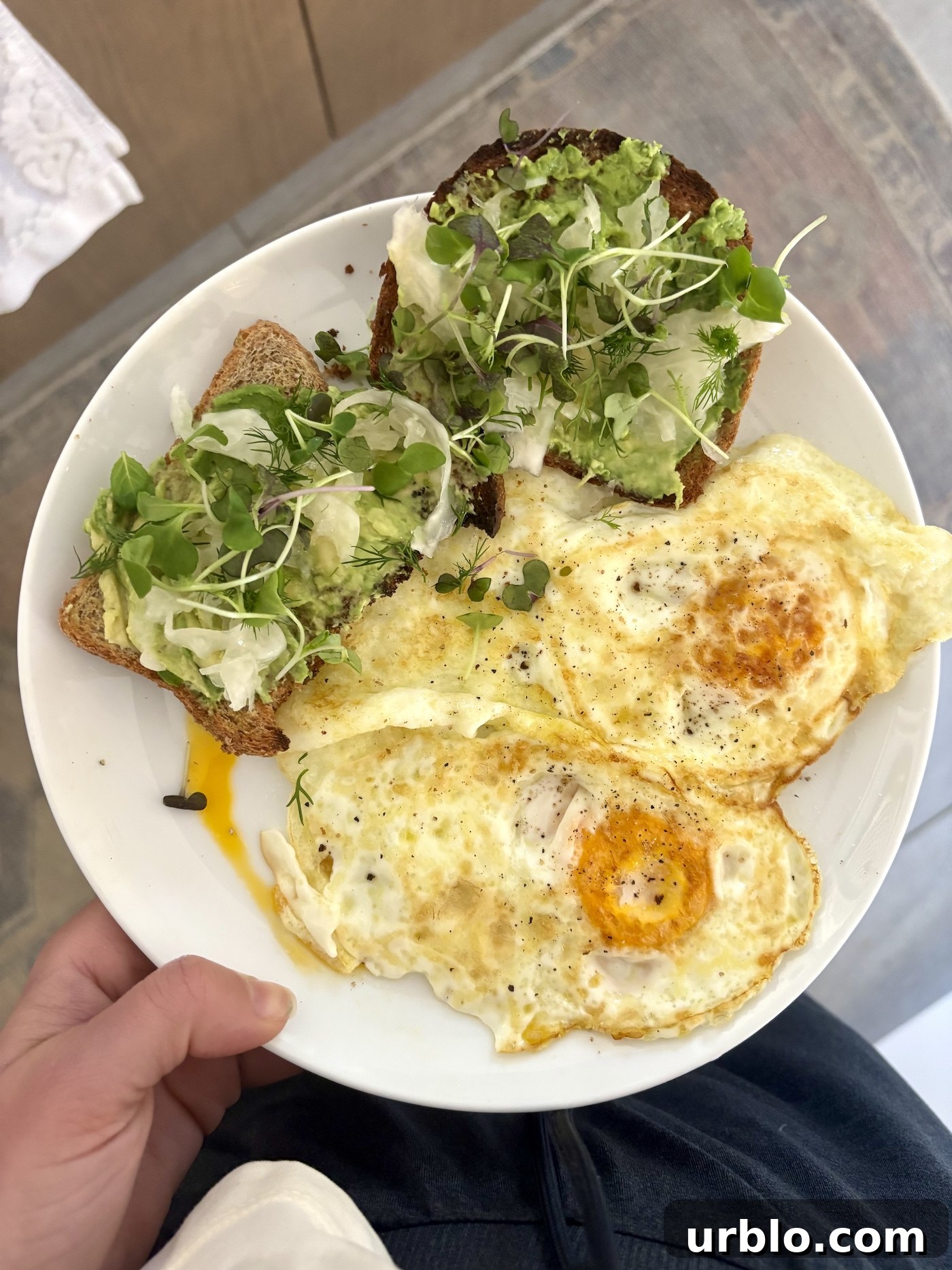 eggs