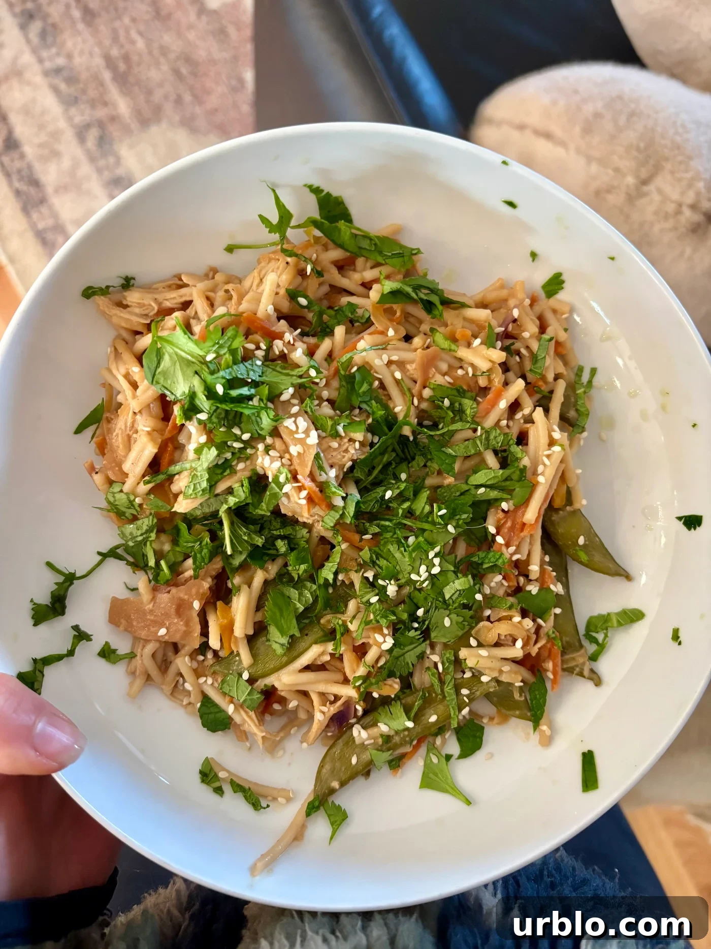 noodles
