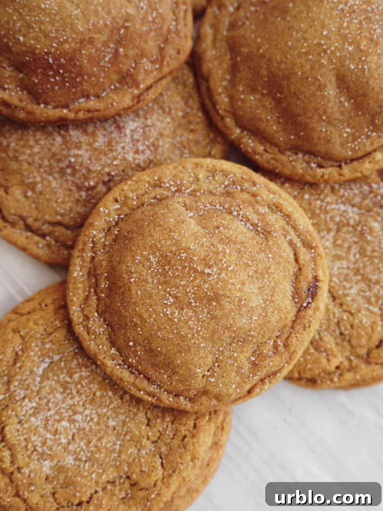 Gingerbread Snickerdoodles