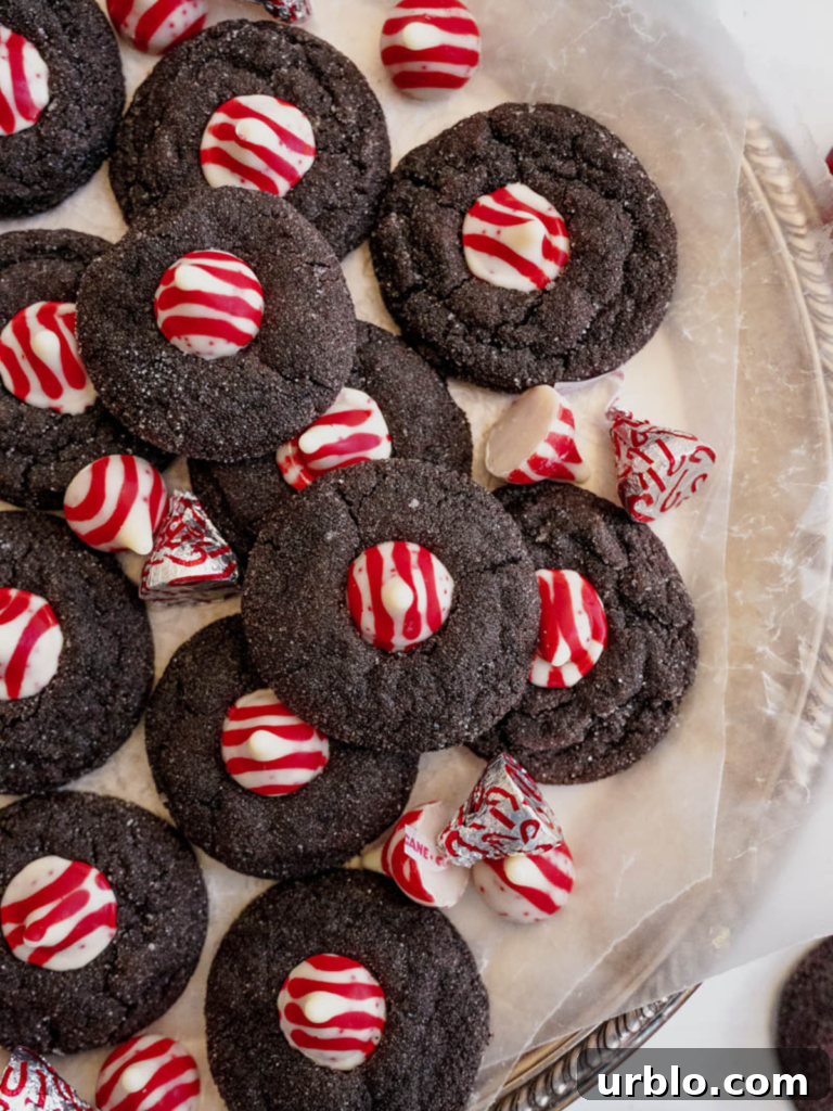 Holiday cookie inspiration