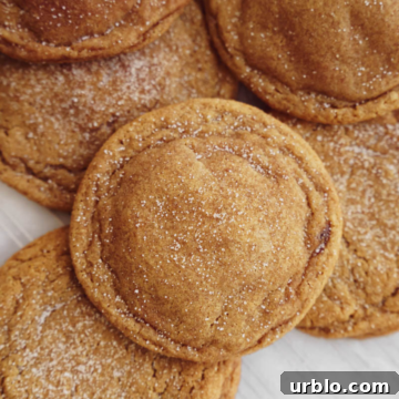 Gingerbread Snickerdoodles