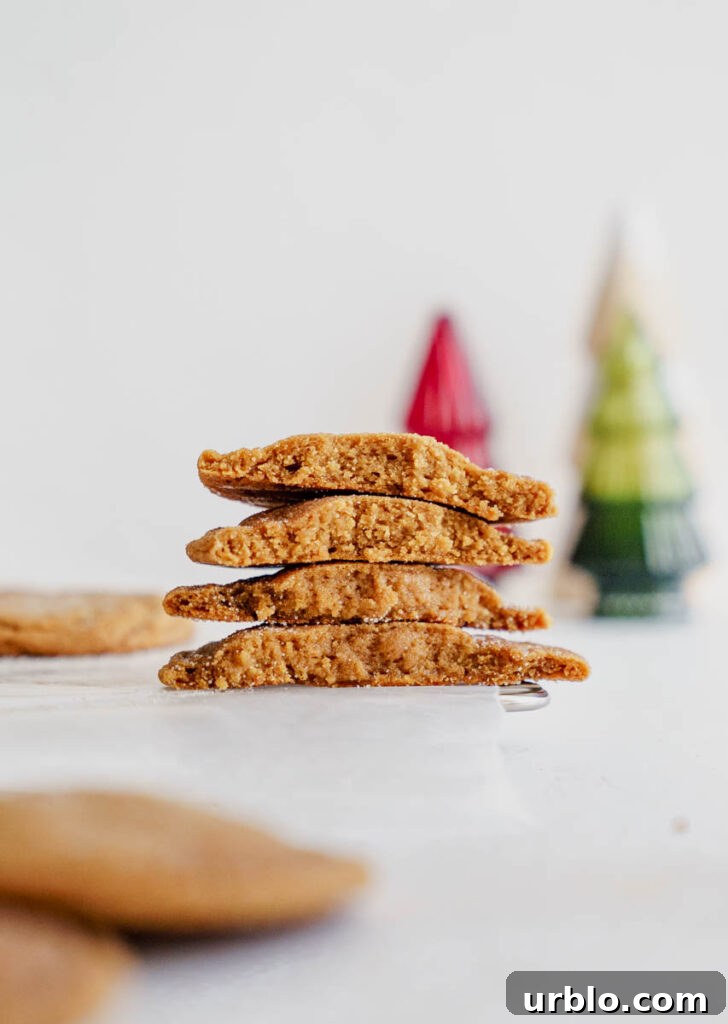 Gingerbread cookie close-up