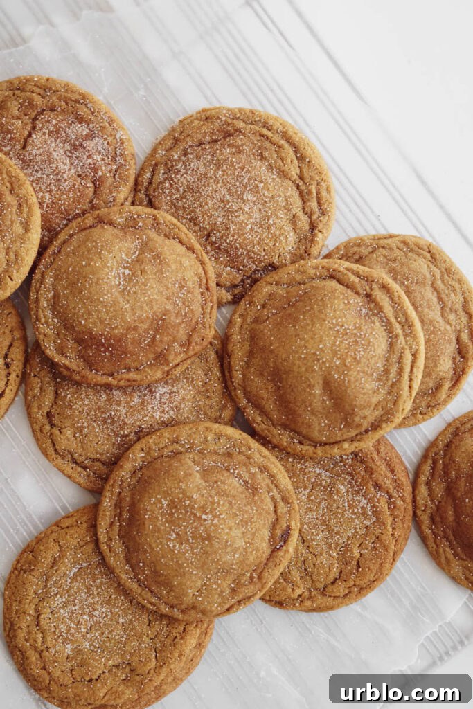 Baked Gingerbread Snickerdoodles