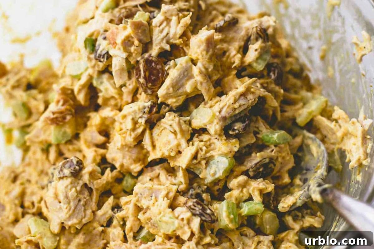 Curried turkey salad displayed on a plate.