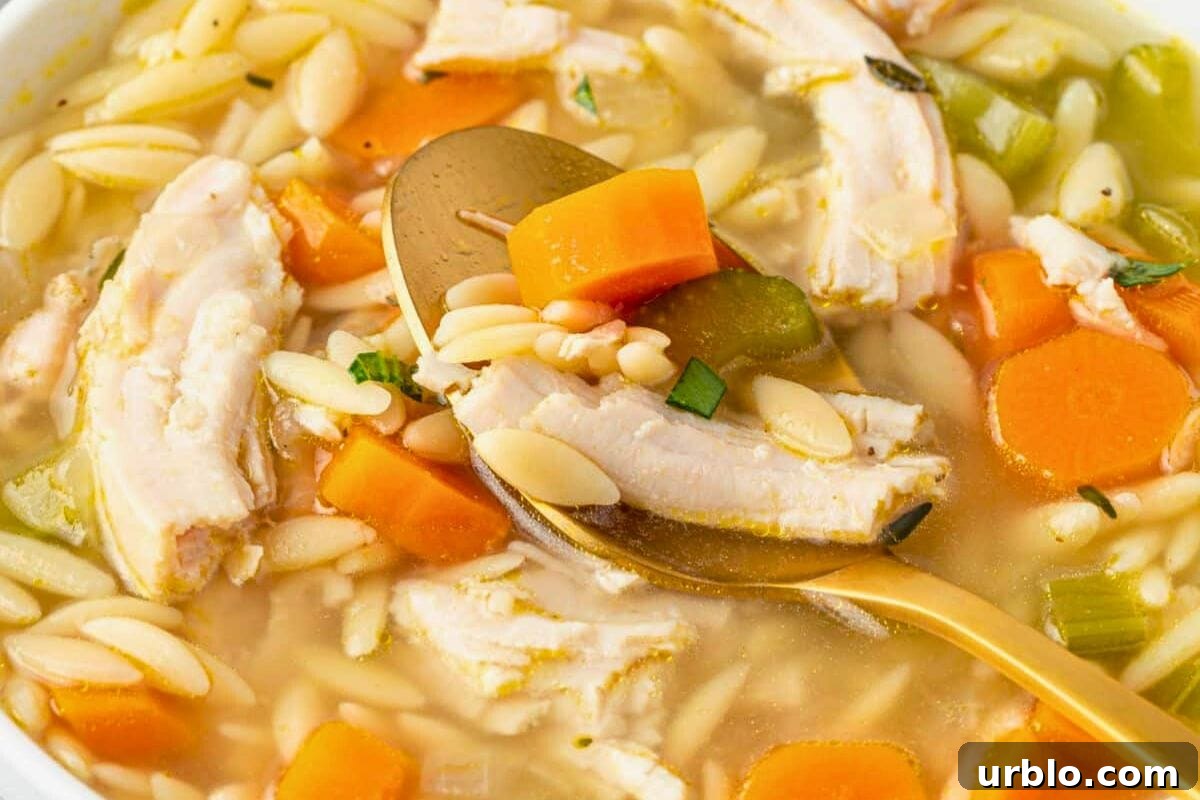 Bowl of turkey orzo soup with herbs.