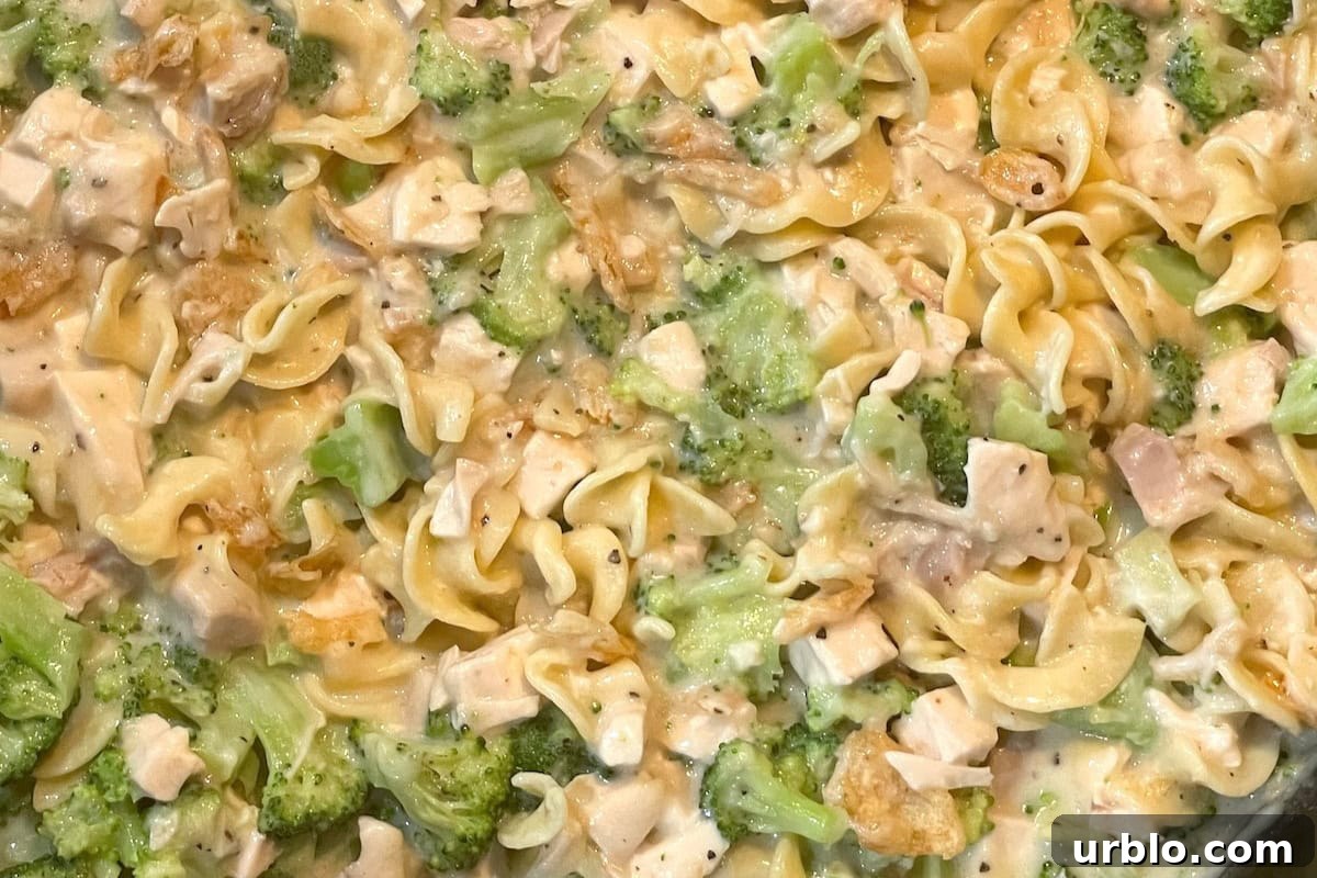 Cheesy turkey and broccoli noodle casserole.