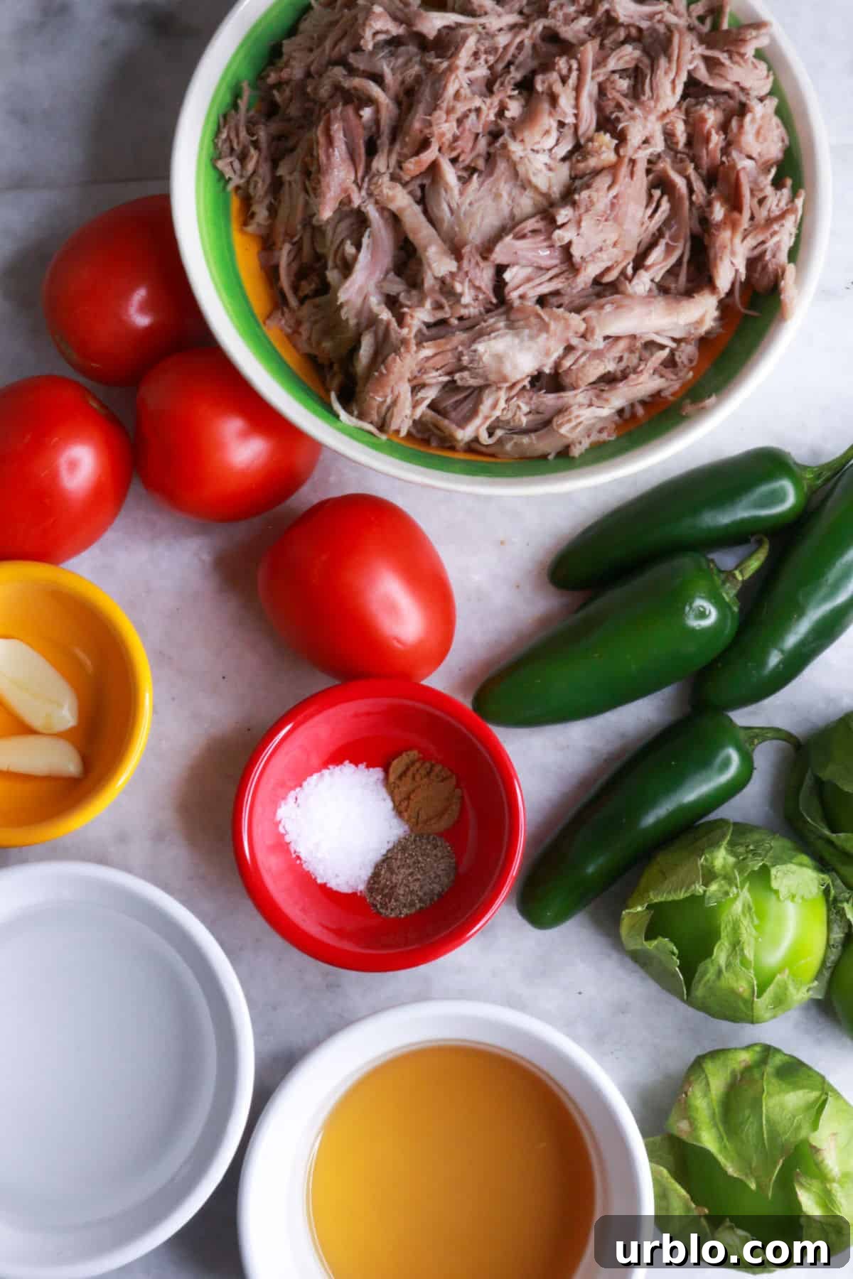 Bowl of shredded pork, tomatoes, jalapeños, tomatillos, garlic, and broth