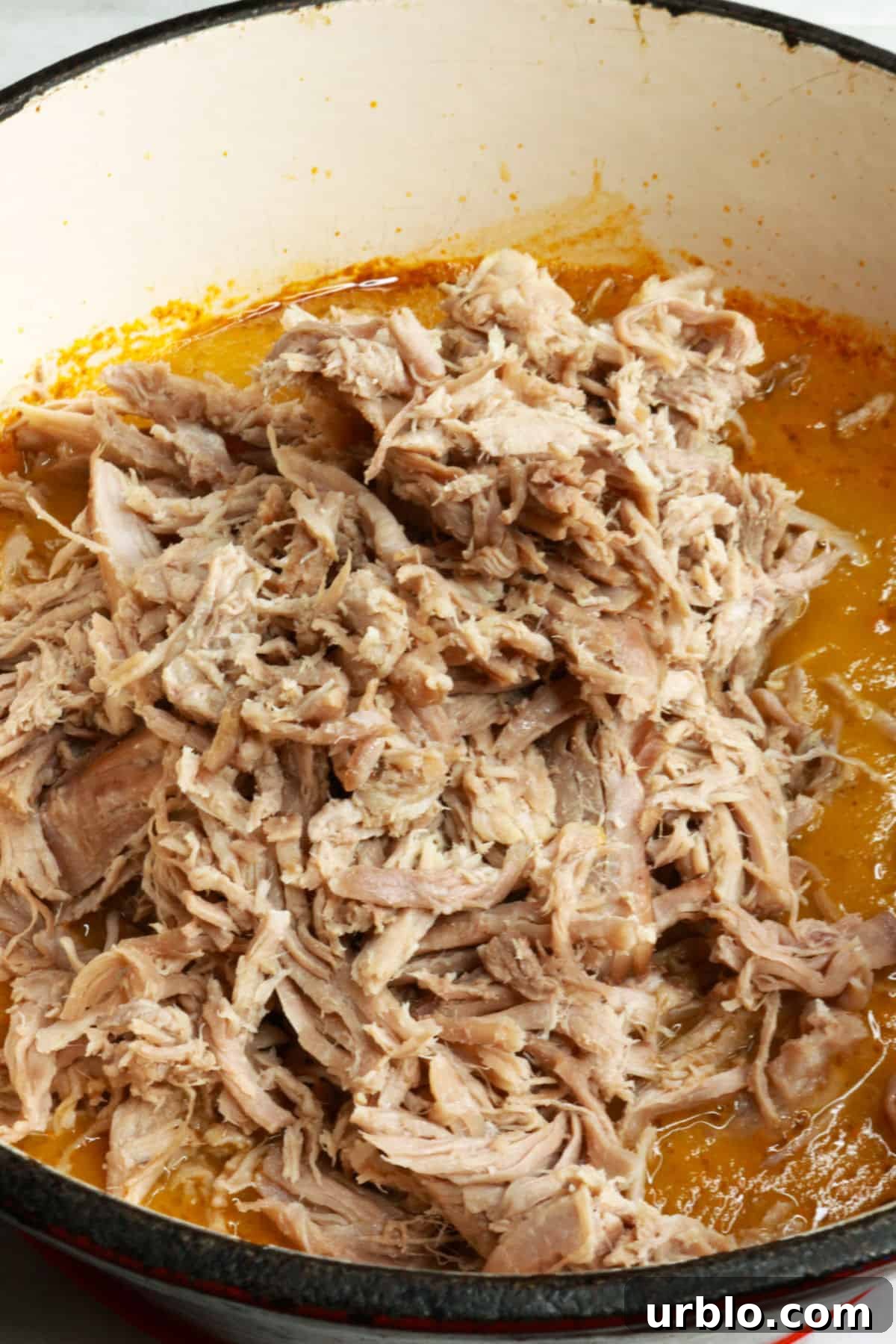 Shredded pork on top of salsa verde