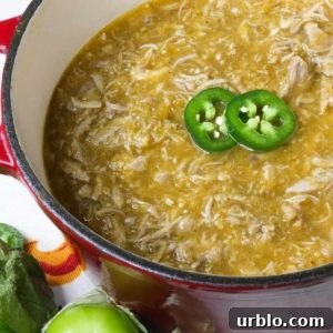 Salsa Verde Pulled Pork in a small, red Dutch oven