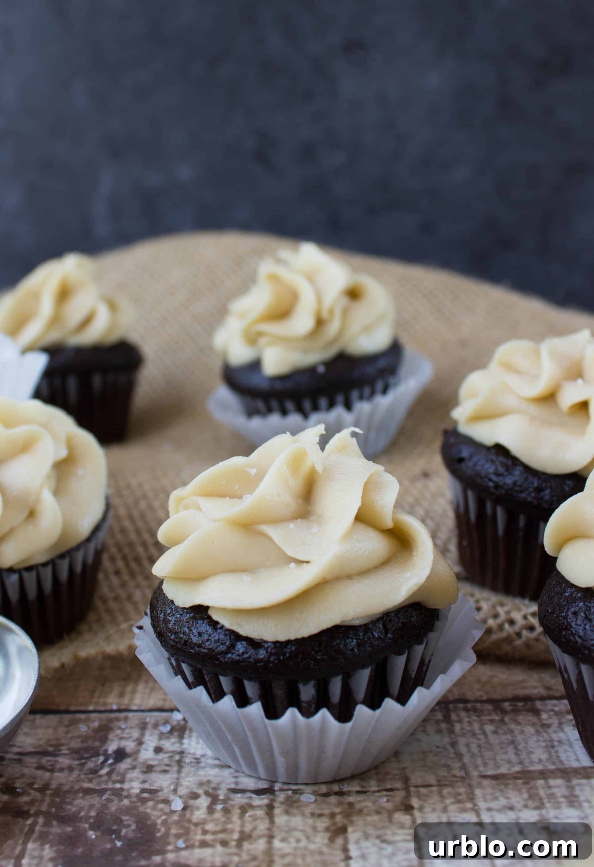 Dark chocolate mini cupcake with salted caramel frosting