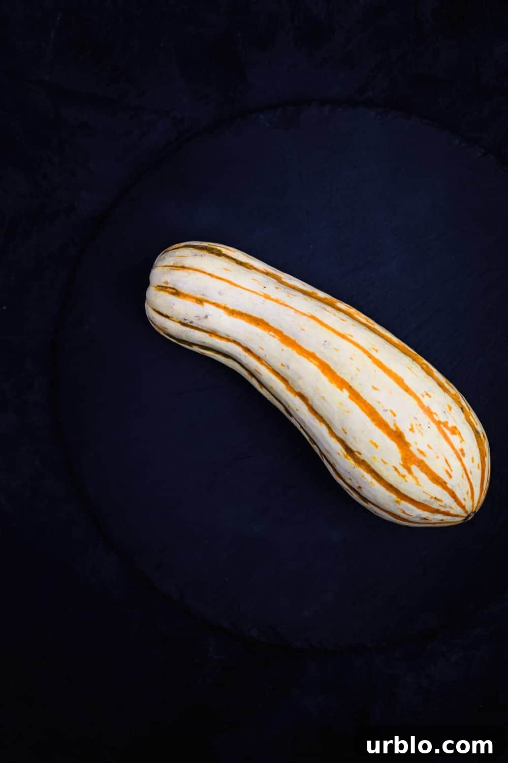 1 Delicata Squash, on a black slate, on a black background. Overhead shot.