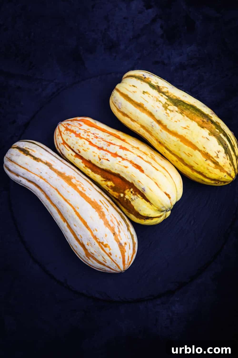 3 whole Delicata Squashes, on a black slate, on a black background. Overhead shot.