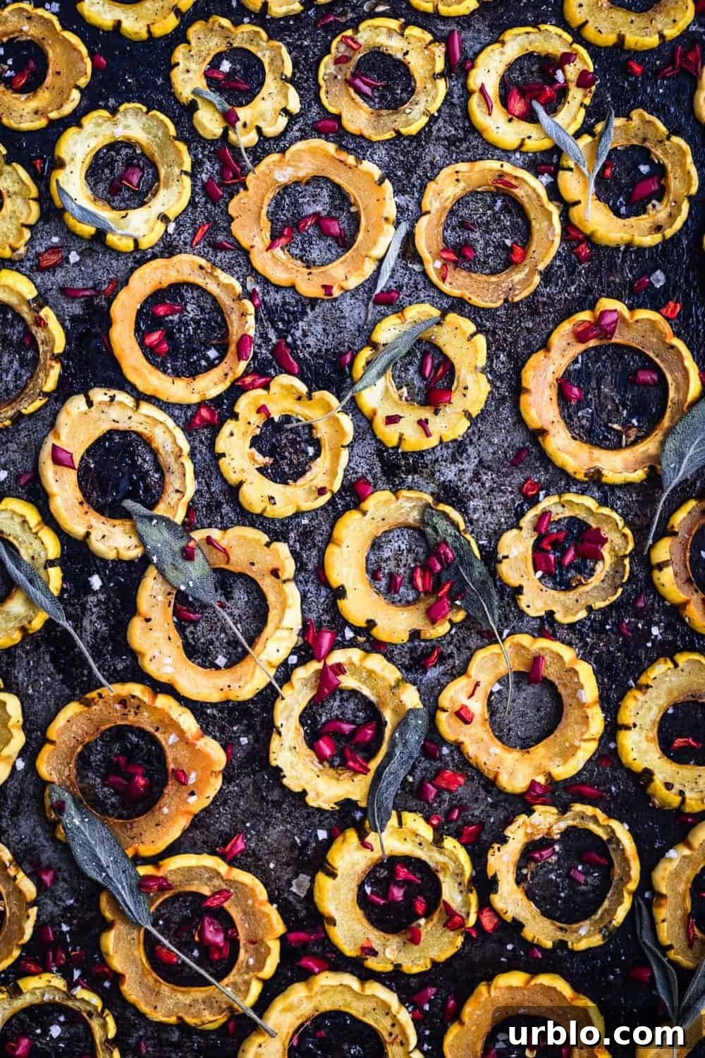 Sliced roasted squash rings on baking sheet, topped with chilies and fresh sage leaves, up close. Post-oven.
