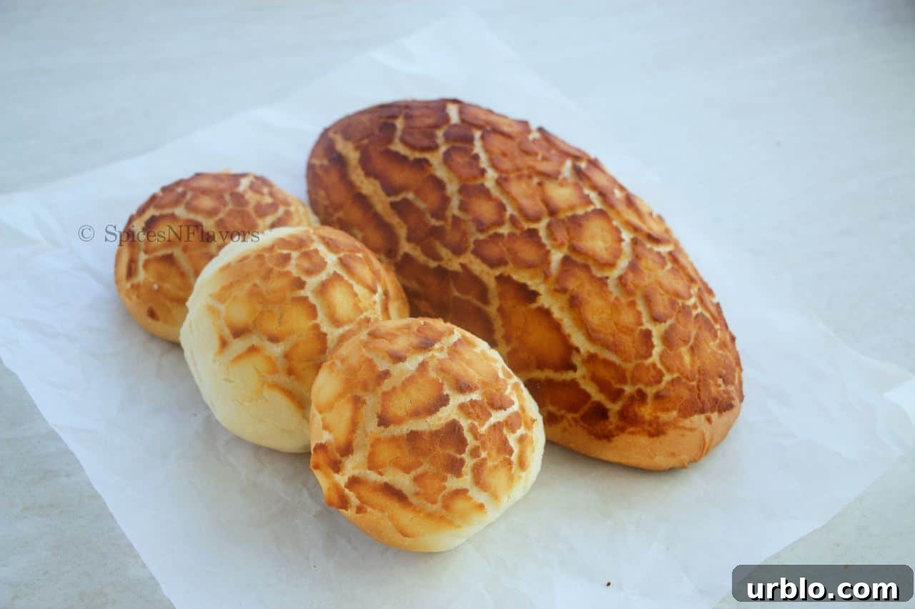 both the loaf and rolls placed on a white parchment paper