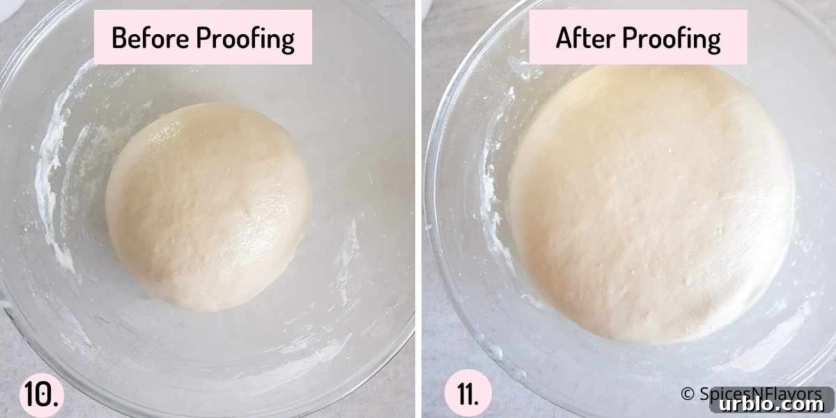 proof the dough