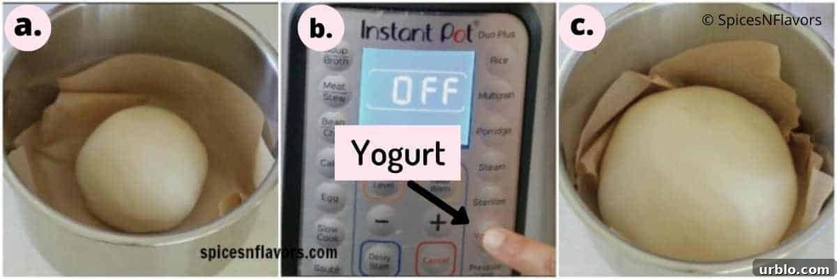 how to proof bread in instant pot