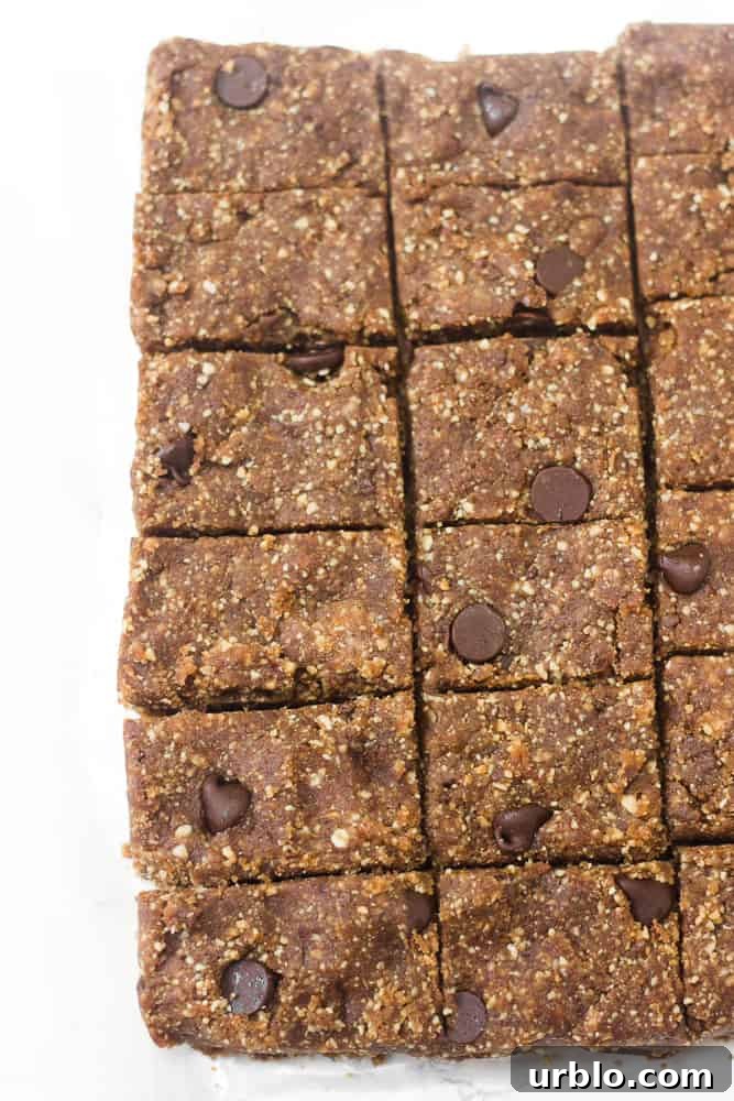 Peanut butter chocolate chip date bars