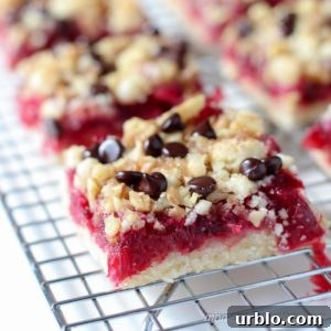 Low-Carb Shortbread Crust Recipe for Keto Desserts 6 Cranberry Walnut Crumb Bars are easy to make and super delicious! | Low Carb, Gluten-free, Dairy-free option, Paleo, Keto, THM | lowcarbmaven.com