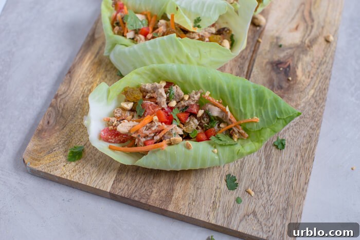 Thai chicken recipe with carrots, bell peppers, and peanuts 