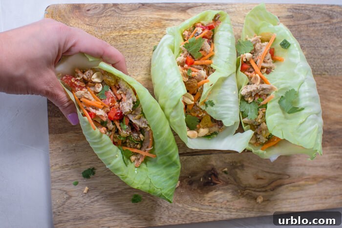 high protein Thai chicken salad wraps with veggies
