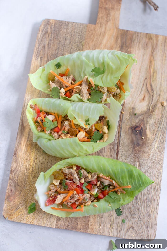 healthy lunch recipe with chicken, carrots, bell peppers, and peanuts 