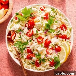 bowl of orzo salad with lemon tomatoes feta and parsley.