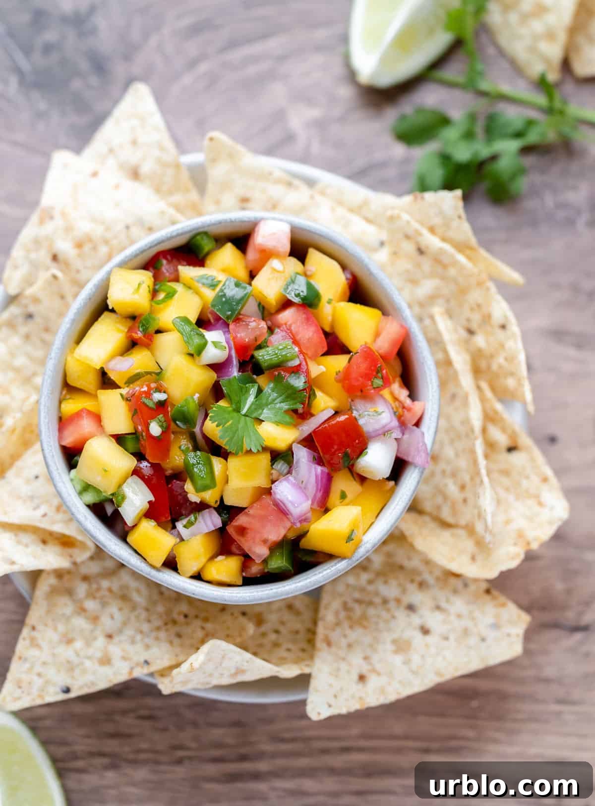 Fresh mango pico de gallo with tortilla chips, cilantro and lime