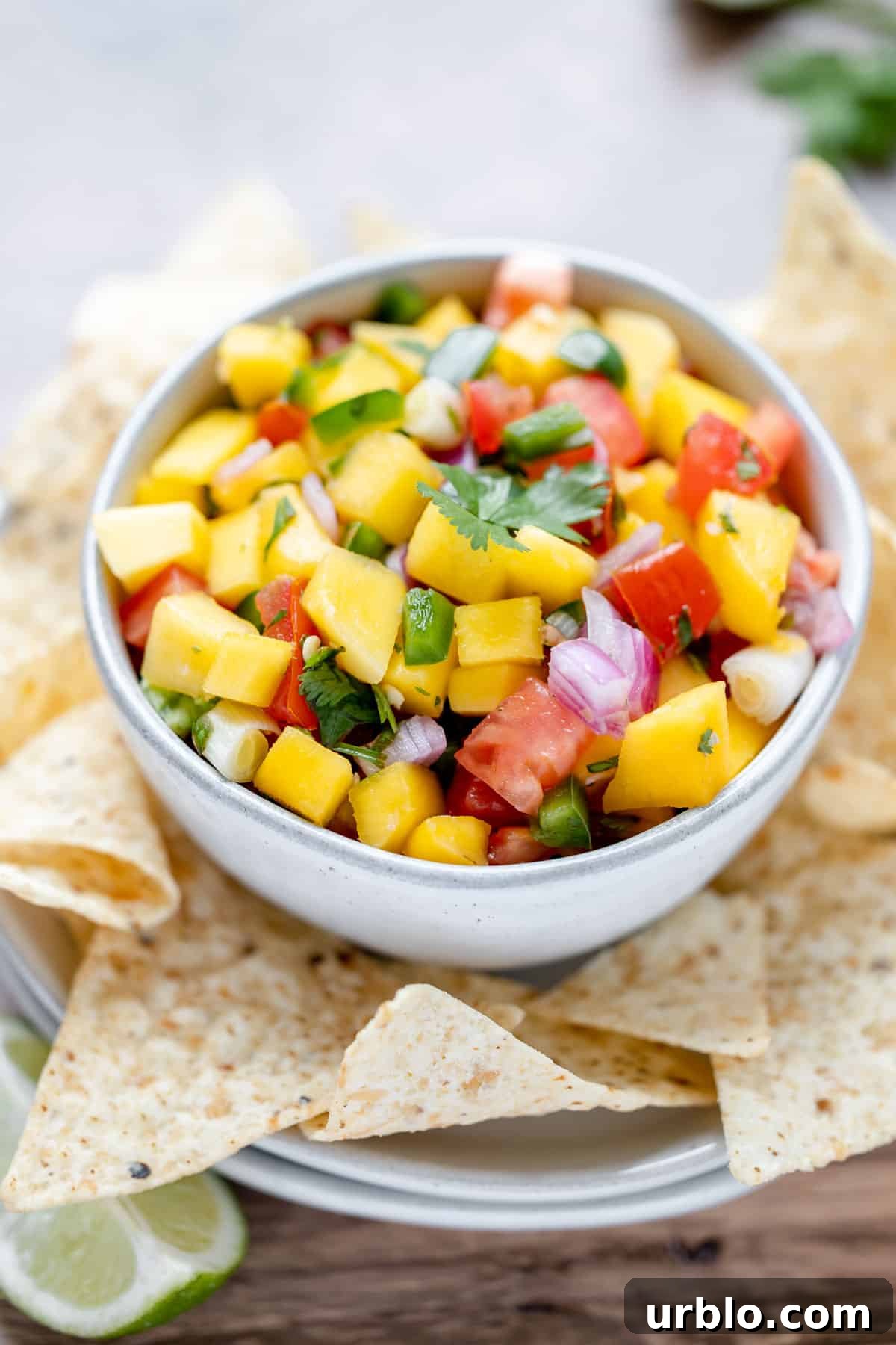 Pico de gallo with mangoes and tortilla chips