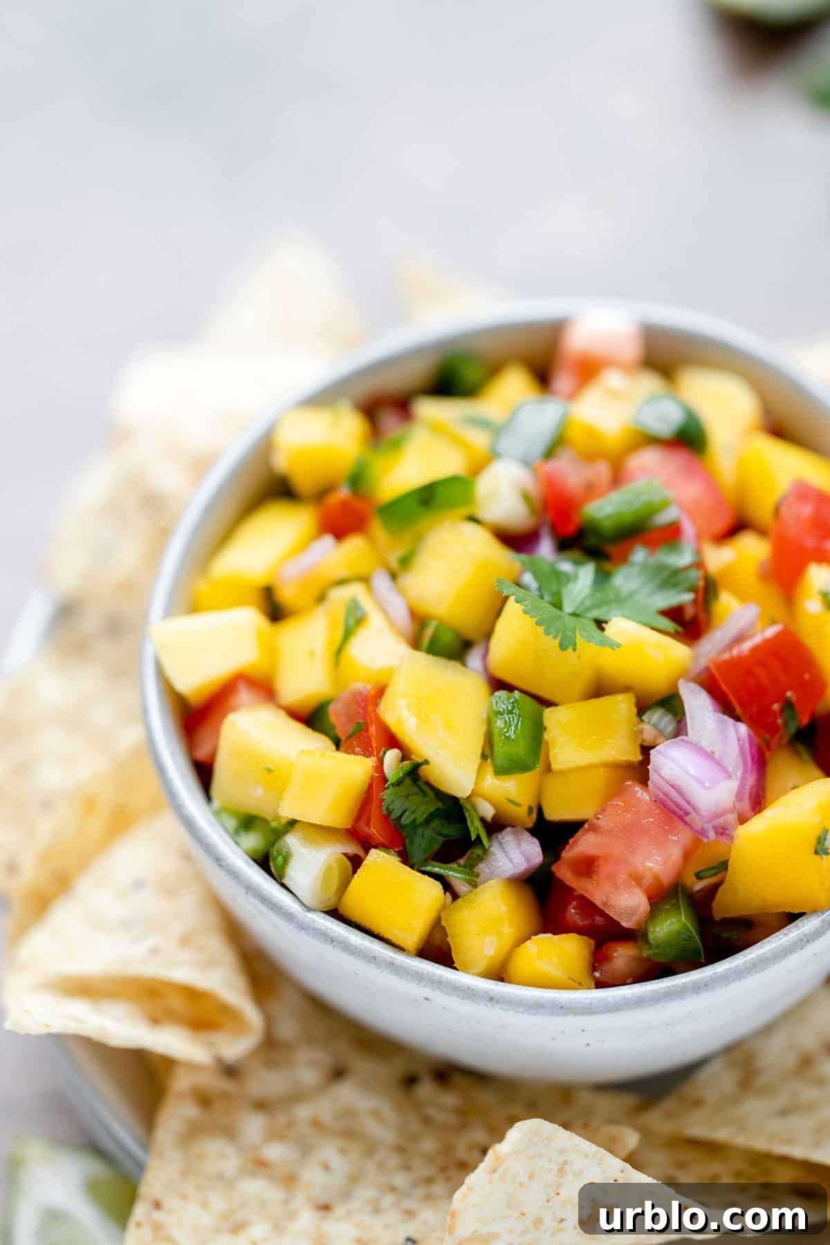A side of mango pico de gallo in a bowl with chips