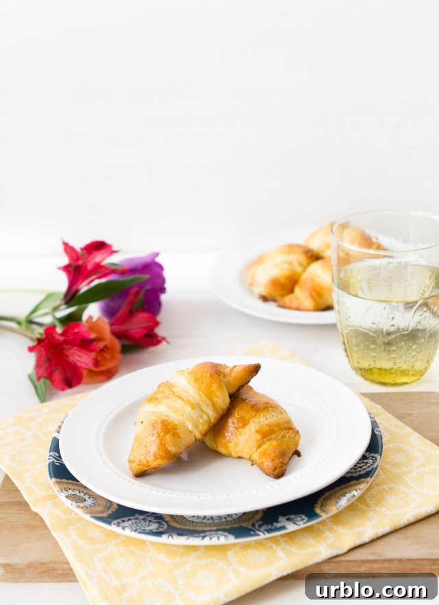 Buttery Ham and Melted Cheese Croissants: Homemade Recipe 2 Ham and Cheese Croissants