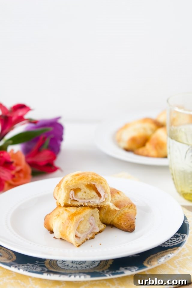 Buttery Ham and Melted Cheese Croissants: Homemade Recipe 4 Ham and Cheese Croissants
