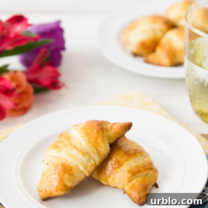 Ham and Cheese Croissants