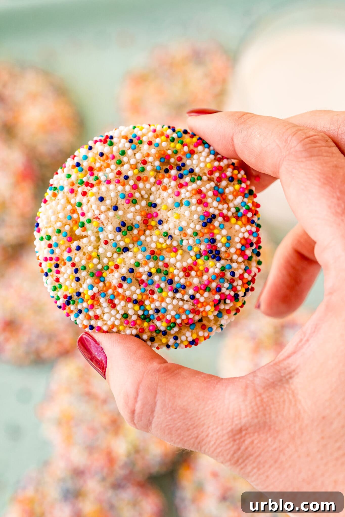 woman's hand holding funfetti cake mix cookies