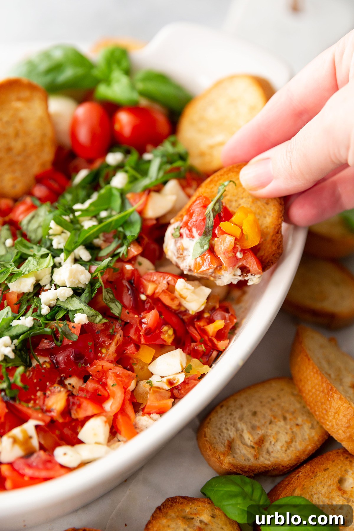 Cold Caprese Dip with Cherry Tomatoes, Mozzarella & Fresh Basil 3 Caprese Dip