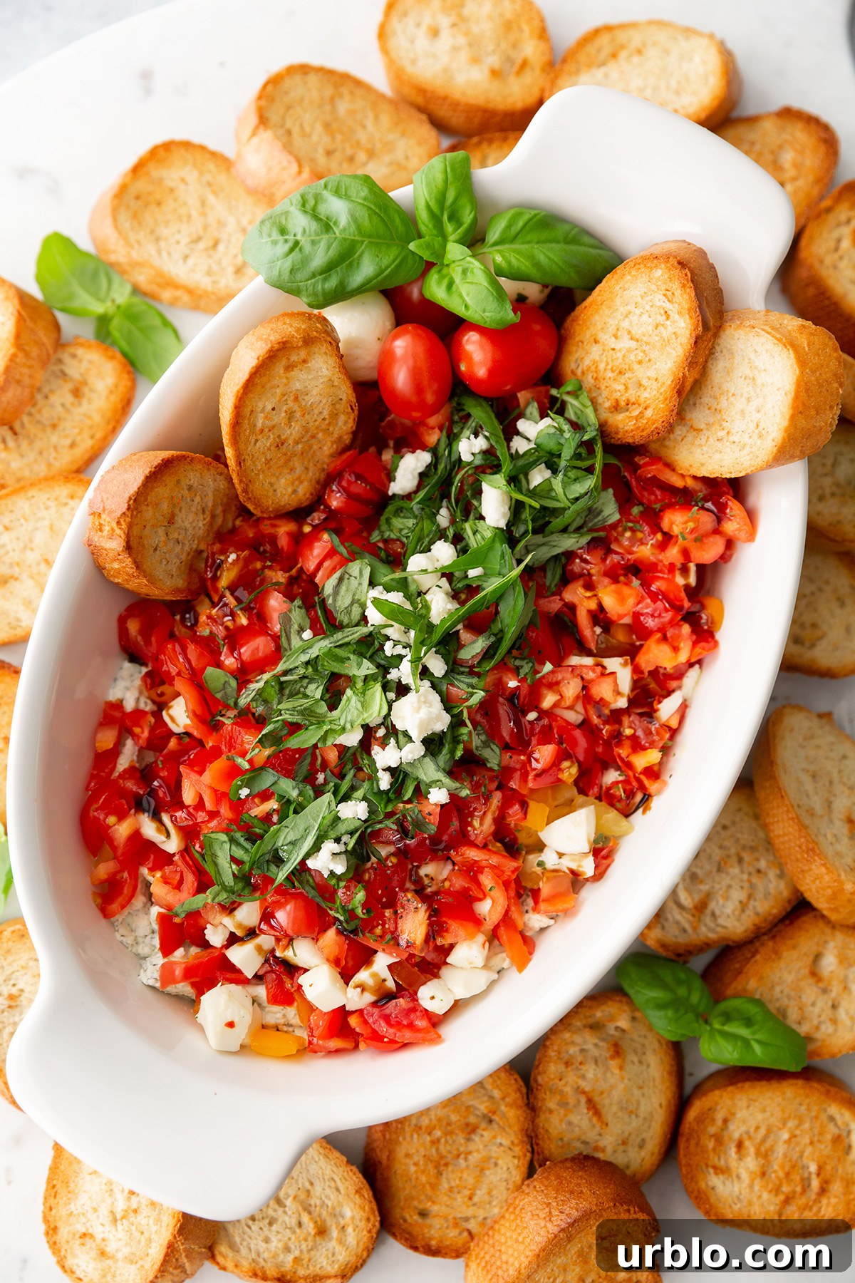 Cold Caprese Dip with Cherry Tomatoes, Mozzarella & Fresh Basil 4 Bruschetta Caprese Dip