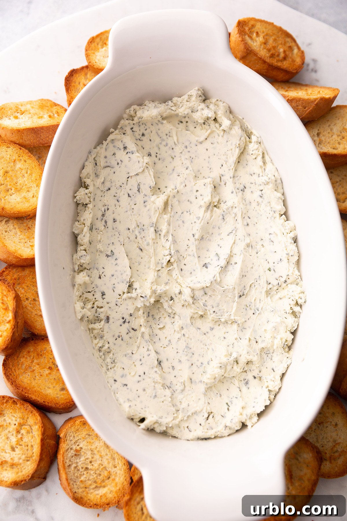 Cold Caprese Dip with Cherry Tomatoes, Mozzarella & Fresh Basil 5 Boursin Dip
