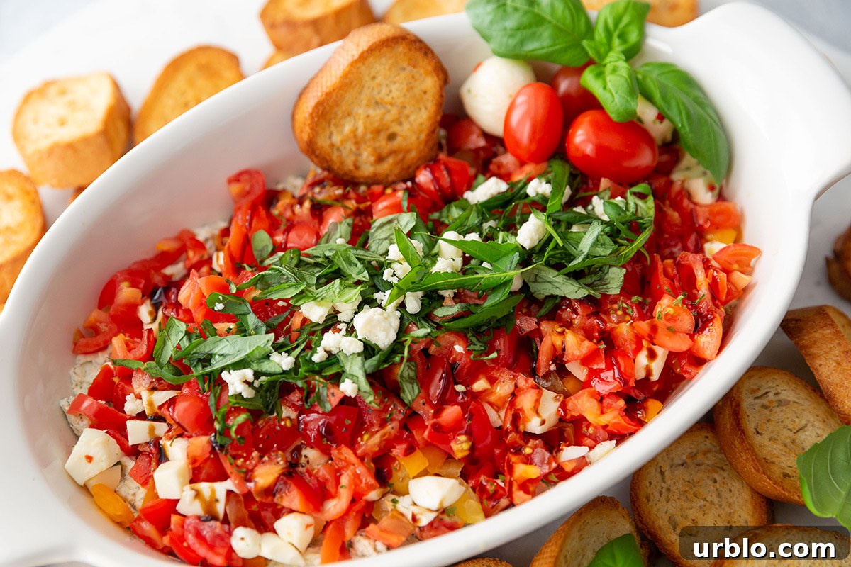 Cold Caprese Dip with Cherry Tomatoes, Mozzarella & Fresh Basil 6 Caprese Bruschetta Dip with Crostini