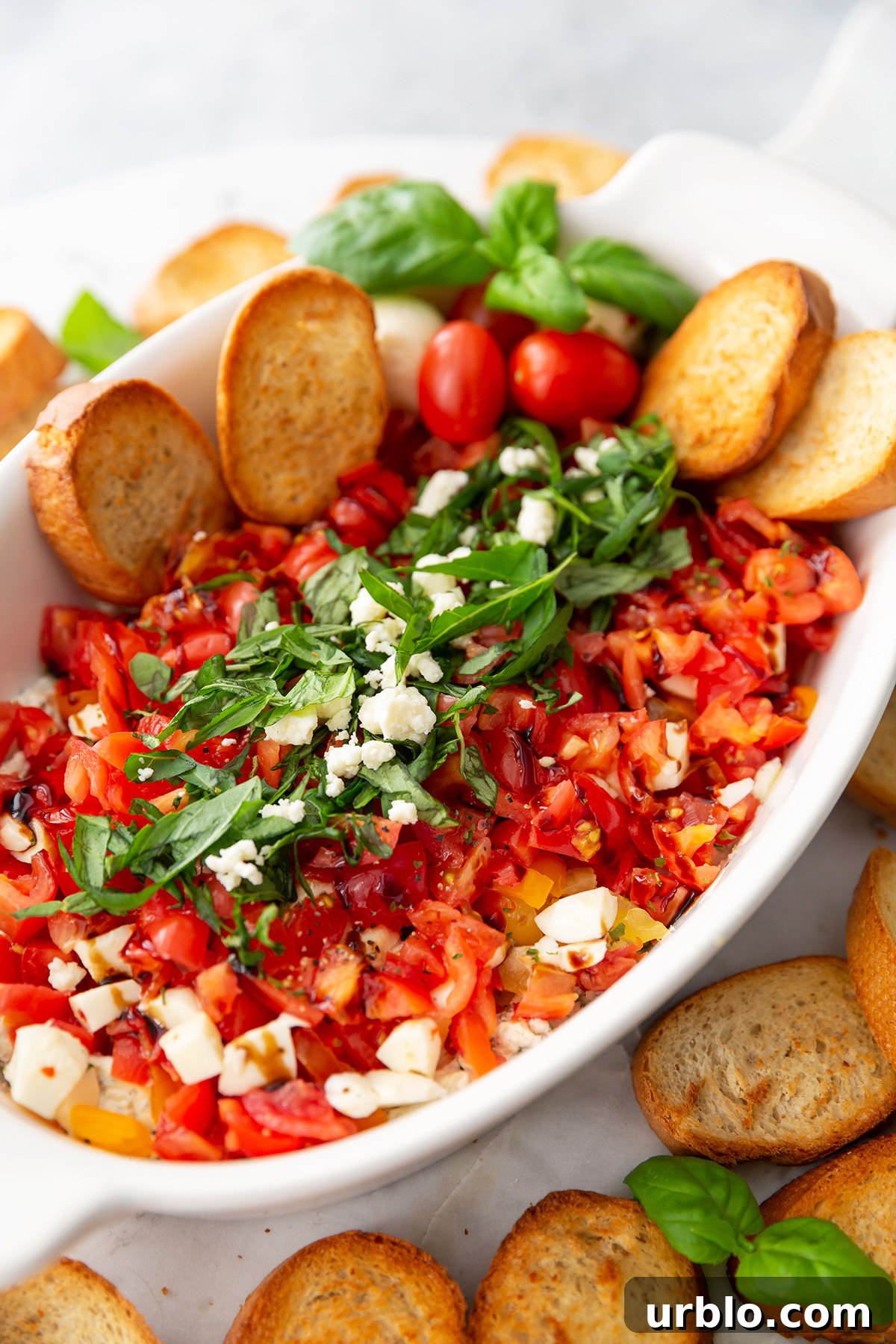 Cold Caprese Dip with Cherry Tomatoes, Mozzarella & Fresh Basil 7 Tomato Mozzarella Dip with Crostini