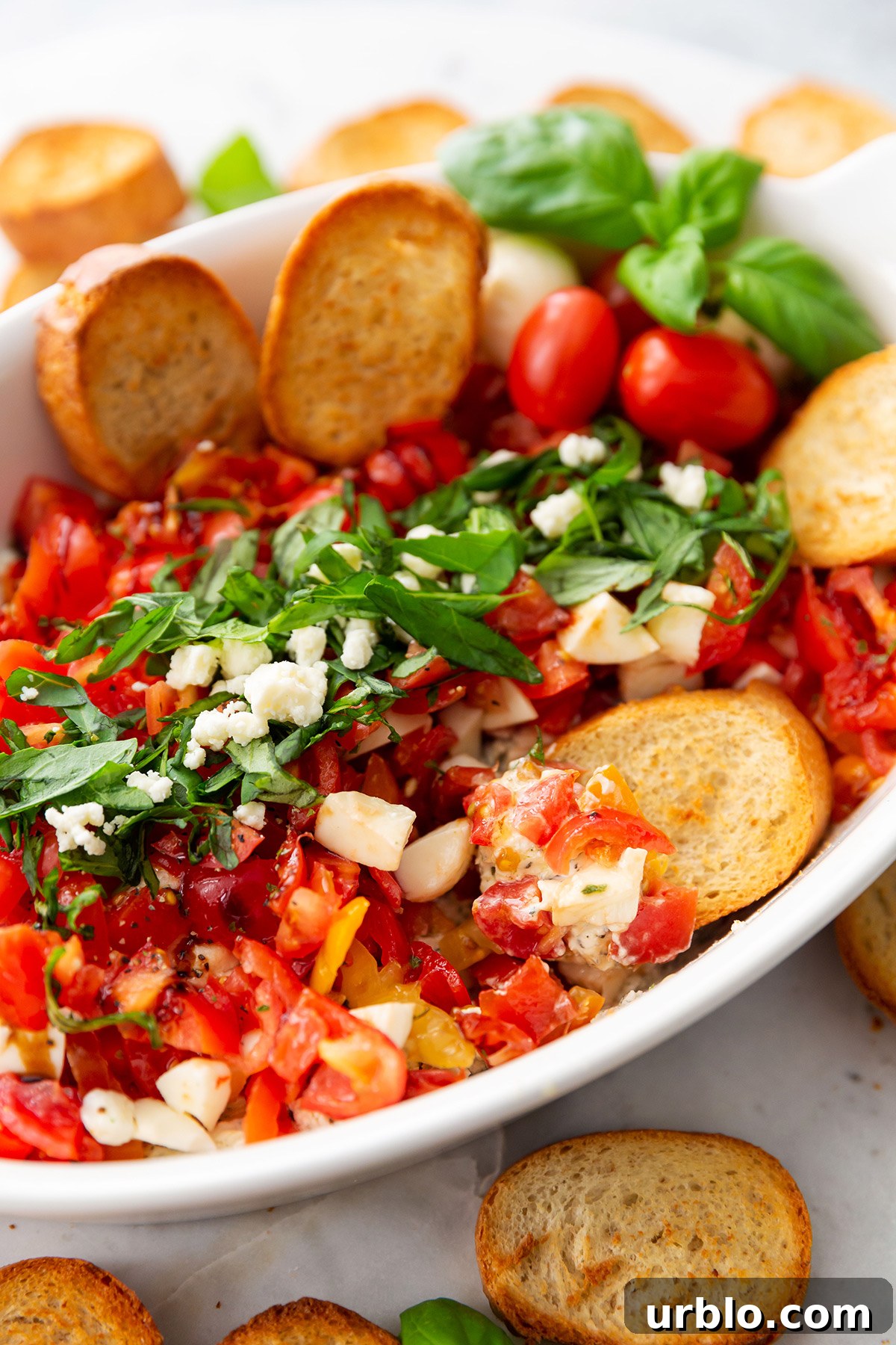 Cold Caprese Dip with Cherry Tomatoes, Mozzarella & Fresh Basil 8 Caprese Salad Dip