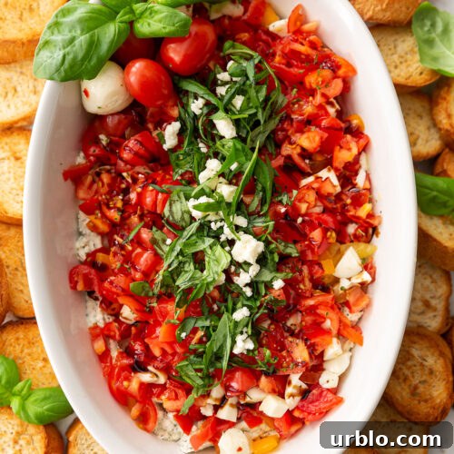 Cold Caprese Dip with Cherry Tomatoes, Mozzarella & Fresh Basil 9 Cold Caprese Dip