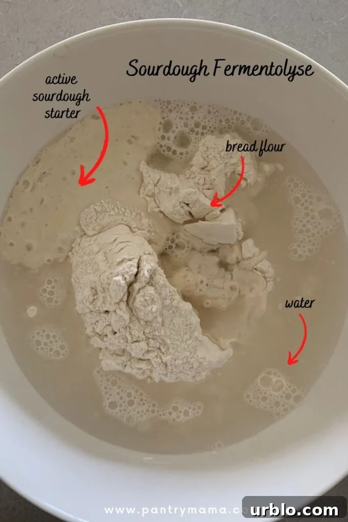 Sourdough Fermentolyse - AUTOLYSE VS FERMENTOLYSE