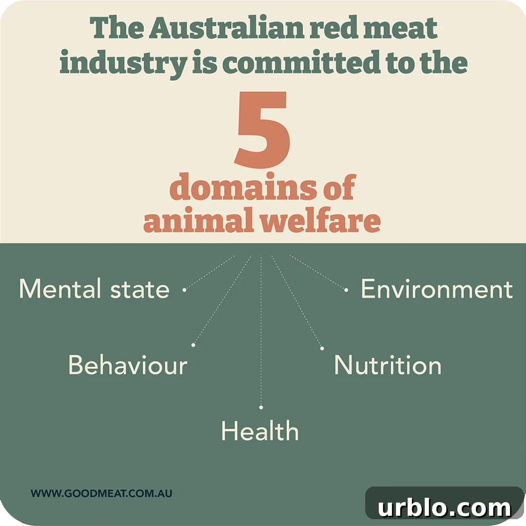 5 domains of animal welfare